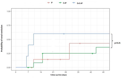 Comparison of renal remission according to treatment