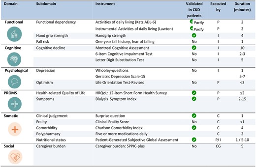 Abbreviations: P, patient; I, interviewer; C, clinician; CG, caregiver; SPICC, Self-perceived pressure from informal care; PROMS, patient-reported outcome measures.