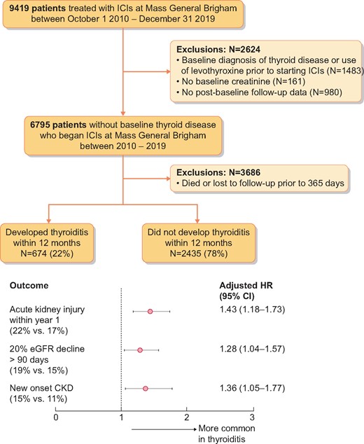 Patient flow and outcomes. Among patients surviving 1 year, Cox proportional hazards models were performed to predict each of the three renal outcomes among patients experiencing thyroiditis within 12 months compared with those who did not develop thyroiditis within 12 months.