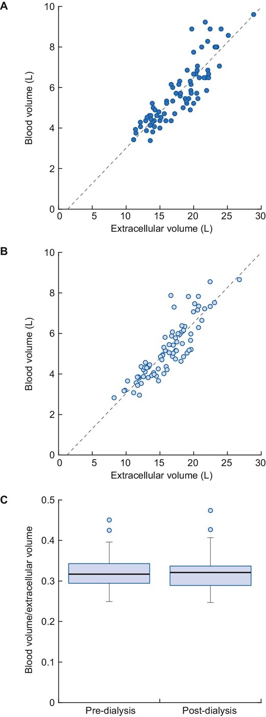 Relationship of blood volume to extracellular volume at the beginning (r = 0.88) (A) and at the end (B) of the haemodialysis session (r = 0.88). The blood volume to extracellular volume ratio remains constant during dialysis treatments (C).