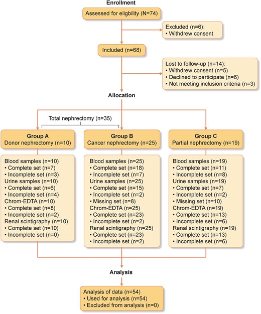 The consort flow diagram shows the number of subjects eligible and enrolled in the study and the subjects that completed the study with dropouts. Sixty-eight participants were included and divided into total (donor and cancer) and partial unilateral nephrectomy. Plasma and urine samples were collected at each visit. Kidney functional distribution was assessed by scintigraphy before surgery and at 3 and 12 months after surgery for partial nephrectomy. GFR was measured three times by indicator substance. Fourteen participants were lost to follow-up. Complete set: all samples or screenings were collected for all evaluation time points for the participant. Incomplete set: samples or screenings are missing for one or more time points for the participant. Missing set: participants who did not have their urine samples stored in a biobank. (Created with BioRender.com.)