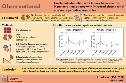 Graphical Abstract