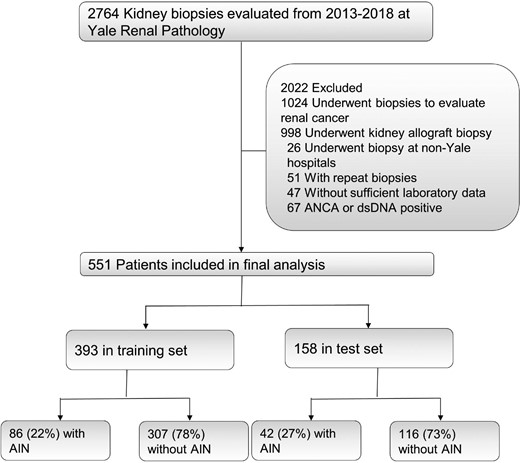 Standards for Reporting of Diagnostic Accuracy flow diagram.
