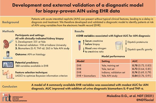 Graphical Abstract