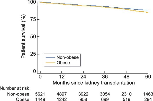 Patient survival—obese versus non-obese.