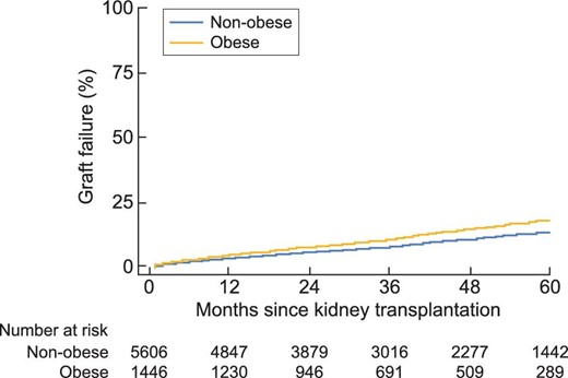 Graft loss—obese versus non-obese.