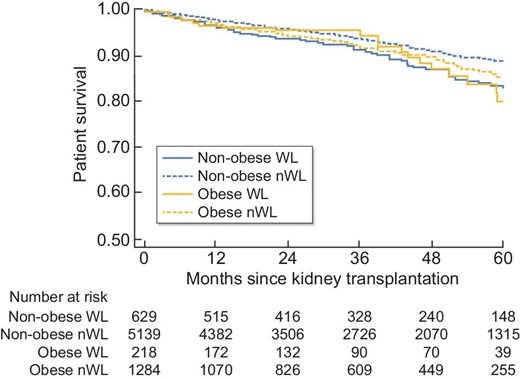 Patient survival in all patients.