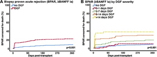(A) BPAR ≥Banff Ia censored for death. (B) BPAR ≥Banff Ia censored for death by DGF severity.
