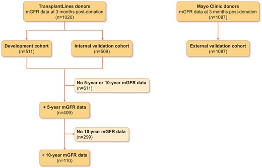 Overview of the study design and distribution of study participants.