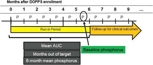 Illustration of the definition of phosphorus exposures used for analyses.