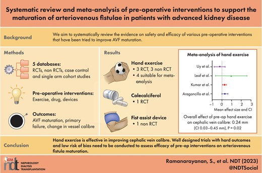 Graphical Abstract