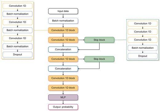 Neural network structure of the proposed 1D convolutional model. The proposed model is constructed with 1D convolution layers, skip connections and a fully connected layer. Each convolution block consists of three convolution layers, followed by batch normalization and a dropout layer. After convolution computation, a fully connected layers output classification result was attained using sigmoid function. MLP, multilayer perceptron; ReLU, rectified linear unit.