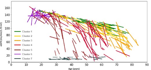 eGFR slopes of individual patients in each of the clusters (linear regression). One line represents one patient.