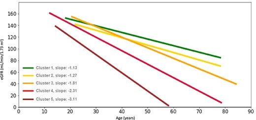 Average eGFR slopes of patients with similar eGFR slopes in Clusters 1–5 (linear regression).