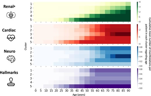 Heat map of organ involvement by cluster. aRenal manifestations are the hypothetic stages when extrapolating the eGFR linear regression.