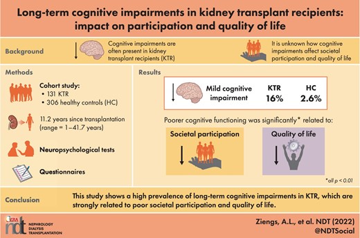 Graphical Abstract