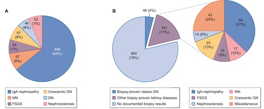 Kidney disease diagnoses based on past kidney biopsy results in (A) analysis A and (B) analysis B.