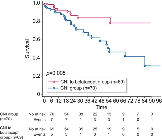 Death-censored graft survival. The Kaplan–Meier method was used to assess graft survival from the time of inclusion. P-value measured is from the logrank test. X-axis: months postinclusion.