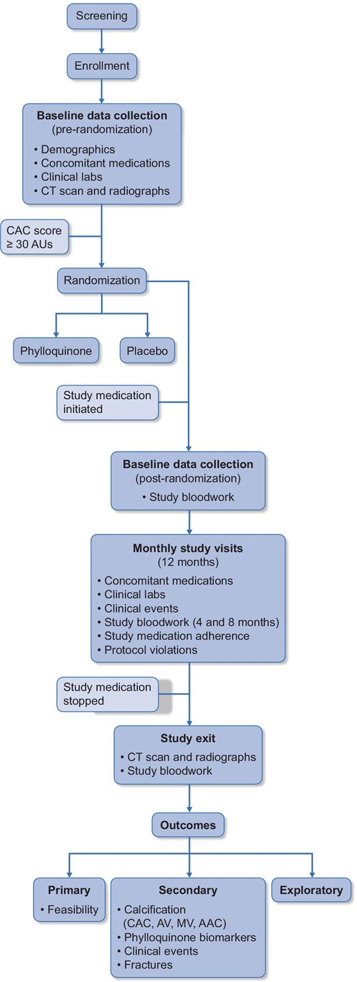 Study design of the iPACK-HD trial. AV, aortic valve; MV, mitral valve; AAC, abdominal aortic calcification.