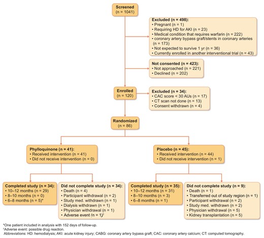 Patient flow diagram.