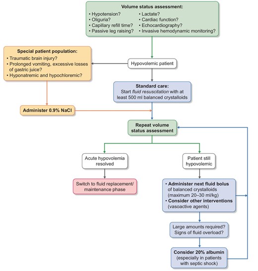 Main considerations for fluid resuscitation in hypovolemic critically ill patients.