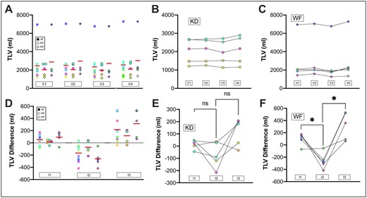 TLV. TLV was monitored at all visits by MRI. (A) TLV values for all patients at visits. V2 to V3 all P = .0067. (B) TLV values for KD group. V2 to V3 KD P = .2012. (C) TLV values for the WF group. V2 to V3 WF P = 0.0116. (D) TLV differences of the different intervals are shown. The intervals correspond to the periods between the two surrounding visits, for example, I1 between V1 and V2. ΔTLV V1 to V2: +2.9%, SEM: 1.4%, ΔTLV V2 to V3: −7.7%, SEM 2.4%%, ΔTLV V3 to V4: +9.3%, SEM 2.9%; I1 to I2 all: P = .0114, I2 to I3 all: P = .0036. (E) TLV interval differences for KD group are shown. I1 to I2 KD P = .1616, I2 to I3 KD P = .0834. (F) TLV interval differences for WF group are shown. I1 to I2 WF P = .0251, I2 to I3 WF P = .0125.
