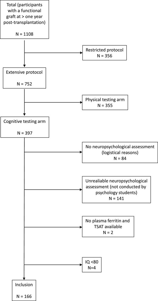 Flowchart of included participants. None of the included participants had a Cognitive Screening Test score below the cut-off.