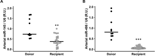 miR-145 and miR-486 levels in epigastric arteries from kidney transplant donors and recipients (Phase 3a). Arterial level of miR-145 (A) and miR-486 (B) in donor group (black spots) and recipients (grey spots). Horizontal rows show median. **P < .01, ***P < .001 versus donor group.