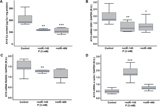 Effect of miR-145 and miR-486 overexpression on A7r5 calcification induced by high P (Phase 4). Ca deposition determined by o-cresolphtalein complexone method (A), expression of: Osx (B), Runx2 (C) and α-actin (D) genes in A7r5 cells expose to calcifying media (CM) (3 mM P), and transfected with negative control (scrambled), miR-145 mimic or miR-486 mimic. Data represent median (IQR). *P < .05, **P < .01, ***P < .001 versus negative control (scramble).