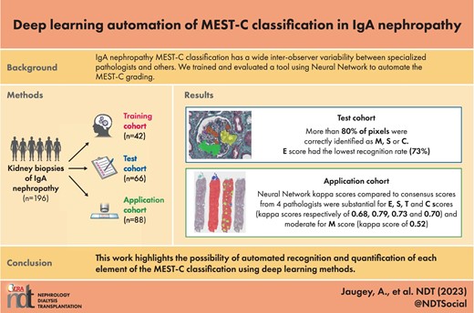 Graphical Abstract