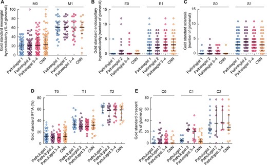 Gold standard evaluations compared with the pathologists’ scores. The bars correspond to the medians and the scales to the IQR.