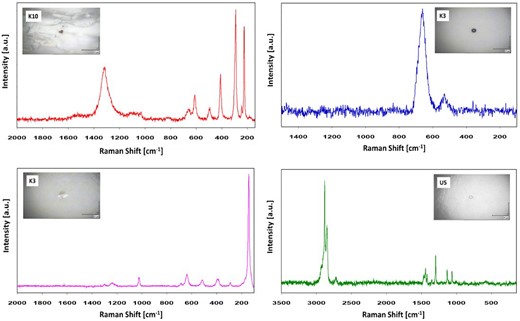 Raman spectra collected on the microplastics most commonly occurring in the analyzed samples.