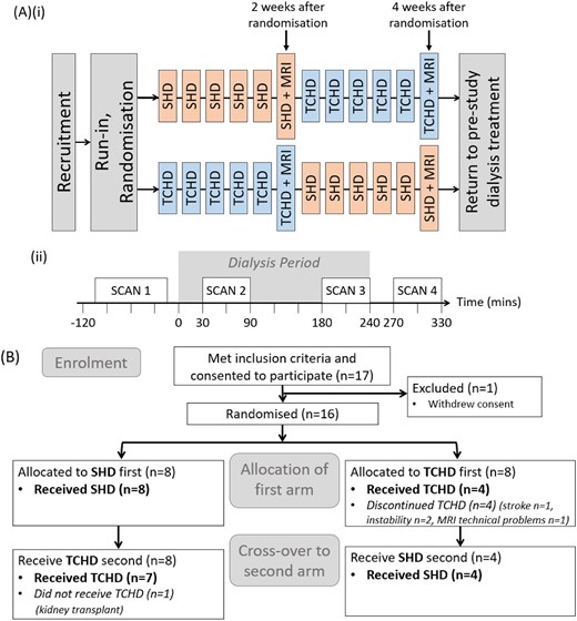 (A) Study treatment schedule (i) with schematic of MRI study day schedule with the timing of the four MRI scans in relation to the dialysis period (ii). (B) Consort diagram of flow of participants in the study.