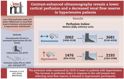 Graphical Abstract
