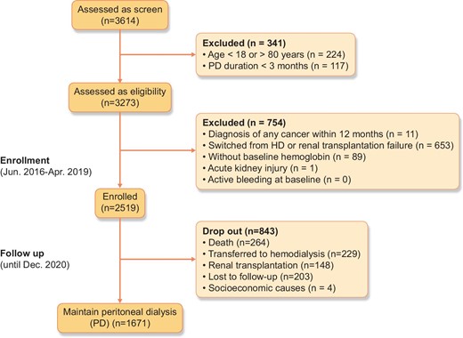 Flow chart of the study.
