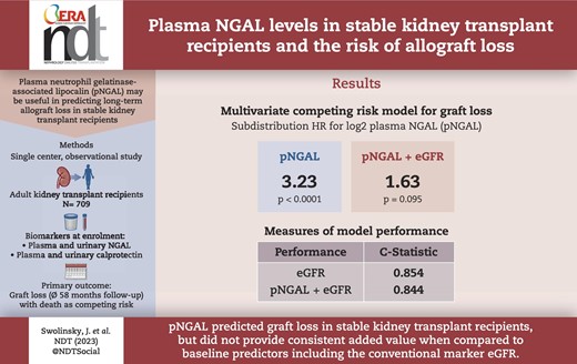 Graphical Abstract