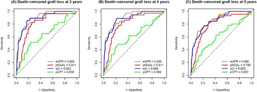 timeROC curves and AUC values of eGFR CKD-EPIsCr (orange), pNGAL (red), sCr (blue) and pCPT (green) in predicting death-censored graft loss at 3 (A), 4 (B) and 5 years (C). Reference line (black dashed) indicates AUC = 0.5.