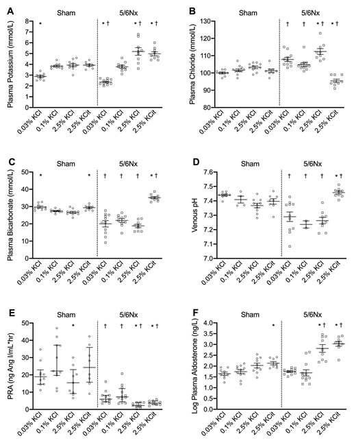 Dietary K+ effects on electrolyte and acid–base balance. Dietary K+ effects on (A) plasma K+, (B) chloride, (C) bicarbonate, (D) venous pH, (E) plasma renin activity (PRA) and (F) aldosterone (n = 8–10/group, except for plasma pH in rats on the 0.1% KCl diet n = 2–4/group). *P ≤ .05 compared with the 0.1% KCl diet within the same model (analyzed by ANOVA). †P ≤ .05 compared with sham rats on the same diet (analyzed by independent t-test).