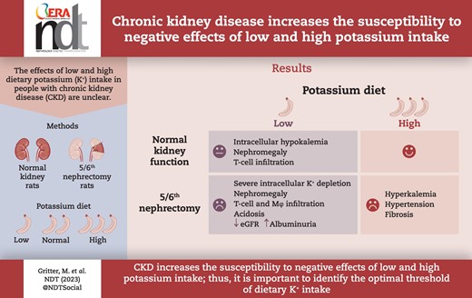 Graphical Abstract