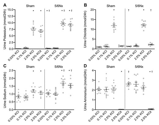Dietary K+ effects on urine K+, chloride, sodium and ammonium excretion. Dietary K+ effects on urine (A) K+, (B) chloride, (C) sodium and (D) ammonium excretion (n = 8–10/group). *P ≤ .05 compared with the 0.1% KCl diet within the same model (analyzed by ANOVA). †P ≤ .05 compared with sham rats on the same diet (analyzed by independent t-test).
