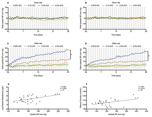 Dietary K+ effects on telemetric blood pressure. Dietary K+ effects on systolic and diastolic blood pressure in (A, B) sham rats and (C, D) 5/6Nx rats (n = 8–10/group). Correlations between plasma aldosterone, plasma chloride and final systolic blood pressure in 5/6Nx rats (E, F). *P ≤ .05 compared with the 0.1% KCl diet within the same model (analyzed by ANOVA). †P ≤ .05 between high KCl and high K-Citrate diets (analyzed by two-way repeated measures ANOVA). Nighttime blood pressures are shown in gray columns, daytime blood pressure in white columns.