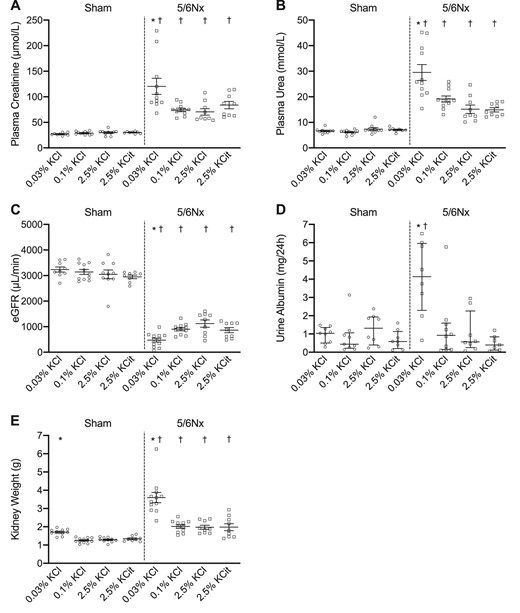 Dietary K+ effects on kidney function. Dietary K+ effects on (A) plasma creatinine, (B) plasma urea, (C) eGFR, (D) urine albumin and (E) kidney weight (n = 8–11/group). *P ≤ .05 compared with the 0.1% KCl diet within the same model (analyzed by ANOVA). †P ≤ .05 compared with sham rats on the same diet (analyzed by independent t-test).