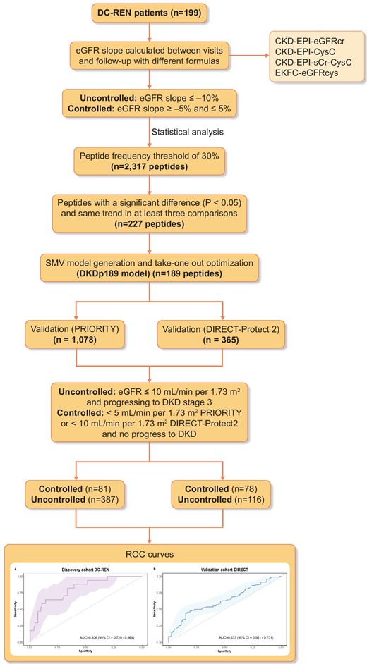 Study design and workflow for the selection of the biomarkers. The different methods were used to identify the CKD progression associated peptides. Biomarkers were defined based on EKFC eGFRcys category using a support vector machine model. Two independent cohorts were used for the validation (PRIORITY and DIRECT-Protec 2).