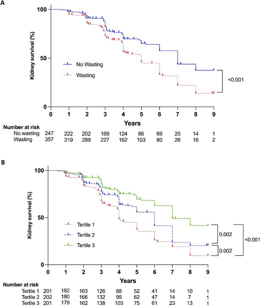 Kidney survival according to TmP/GFR. Kaplan–Meier curves for composite kidney outcome stratified by presence or absence of kidney phosphate wasting (A) or tertiles of TmP/GFR (B). Tertile 1: TmP/GFR <0.66 mmol/L; Tertile 2: TmP/GFR 0.66–0.84 mmol/L; Tertile 3: TmP/GFR >0.84 mmol/L.