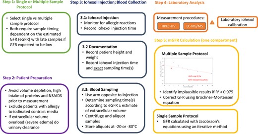 Five steps of iohexol plasma clearance measurement.
