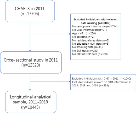 Flow diagram for participants included in the study. Abbreviation: CKD, chronic kidney disease; BMI, body mass index; SBP, systolic blood pressure; DBP, diastolic blood pressure.