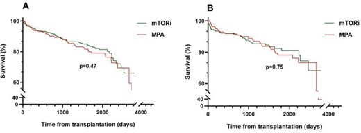 The figure shows the Kaplan-Meier survival analysis for death in the subgroup treated with mTOR inhibitors (green line) and mycophenolc acid (MPA, red line)). In the «A» panel the intention to treat subgroup, whereas in the «B» panel the per-protocol sub-group is shown.