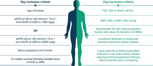 Key eligibility criteria. aTo ensure a pre-specified ratio for a population at risk of progressive renal function decline, the number of participants with an eGFR ≥25–<60 ml/min/1.73 m2 and UACR ≥200–<500 mg/g is planned to be capped at ≈10% of the total population. DBP: diastolic blood pressure; HbA1c: glycated haemoglobin; HF: heart failure; SBP: systolic blood pressure; T1D: type 1 diabetes.
