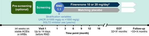 Study design of FIND-CKDa. aStudy duration and the number of study visits will depend on the time of enrolment of the patient. bStarting dose of finerenone is based on the patient's eGFR level at the screening visit. Finerenone will be up- or down-titrated based on potassium and eGFR levels. cParticipants will stay in the study until the last randomized participant has reached 32 months of treatment. EOT: end of treatment; RND: randomization.
