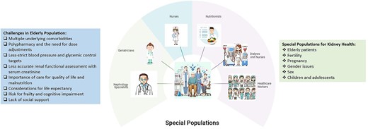 The special populations in terms of kidney health with important clinical considerations.